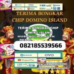 Cara Mudah Login Domino BNI Online